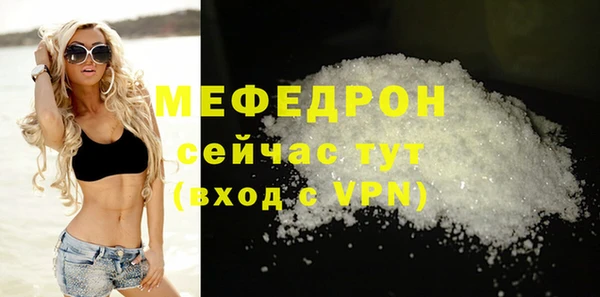 стаф Богданович