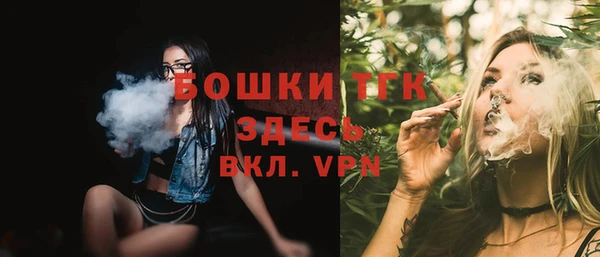 амф Богородицк