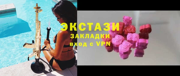 стаф Богданович