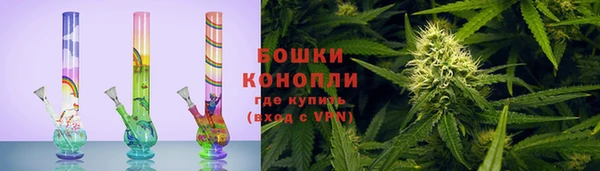 стаф Богданович