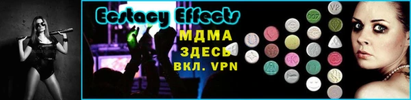 стаф Богданович