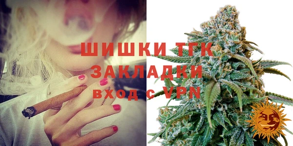 амф Богородицк