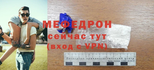 стаф Богданович