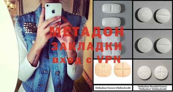 стаф Богданович