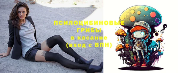 стаф Богданович