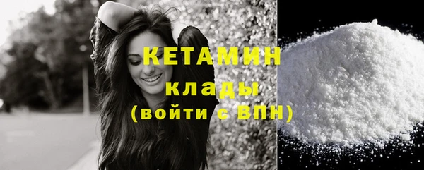 стаф Богданович