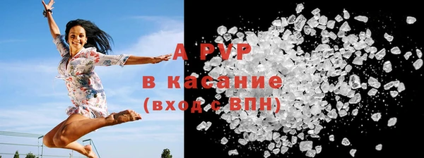 амф Богородицк