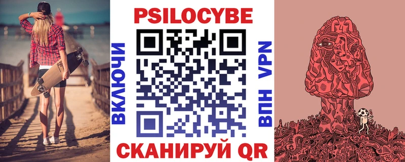 Купить  Семилуки  Псилоцибиновые грибы Psilocybe 